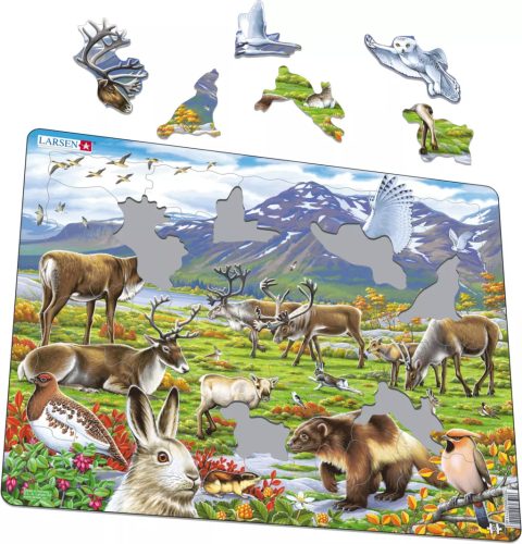 Larsen puzzle- A sarkvidéki tundra növény -és állatvilága