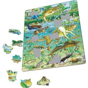 Larsen puzzle- Európai vízi tavak ökoszisztémái