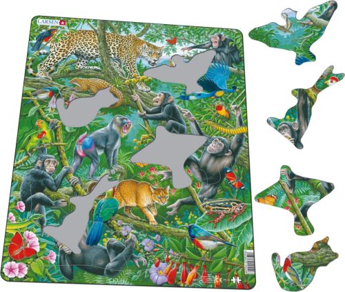 Larsen puzzle- Afrikai esőerdő