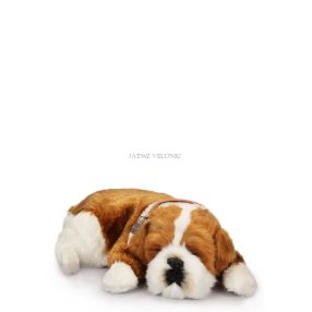 Perfect Petzz Bulldog lélegző kiskutya örökbefogadáshoz