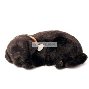   Perfect Petzz Fekete Labrador lélegző kiskutya örökbefogadáshoz