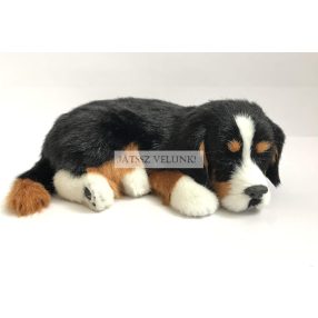   Perfect Petzz Berni Pásztor lélegző kiskutya örökbefogadáshoz