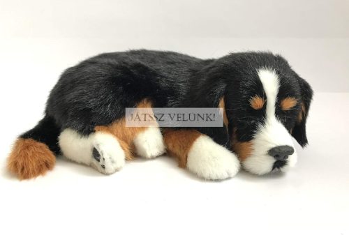 Perfect Petzz Berni Pásztor lélegző kiskutya örökbefogadáshoz