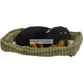   Perfect Petzz Rottweiler lélegző kiskutya örökbefogadáshoz