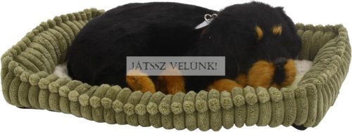 Perfect Petzz Rottweiler lélegző kiskutya örökbefogadáshoz