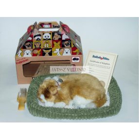   Perfect Petzz Skót Juhász lélegző kiskutya örökbefogadáshoz