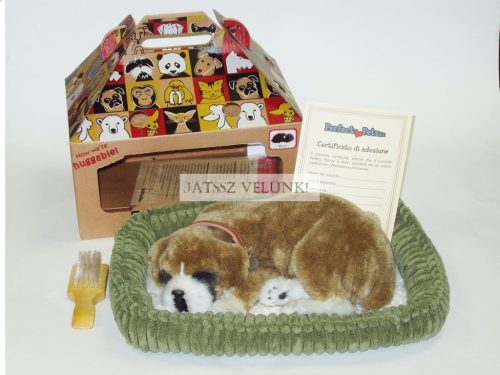 Perfect Petzz Boxer lélegző kiskutya örökbefogadáshoz