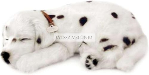 Perfect Petzz Dalmata lélegző kiskutya örökbefogadáshoz