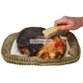 Perfect Petzz Yorkie lélegző kiskutya örökbefogadáshoz