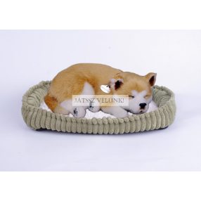 Perfect Petzz Shiba lélegző kiskutya örökbefogadáshoz