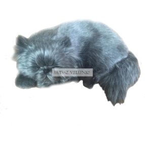 Perfect Petzz Perzsa lélegző kiscica örökbefogadáshoz